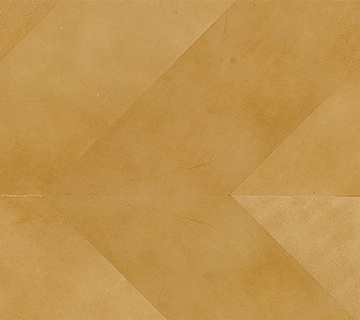 EdelmanLeather_00_360x320